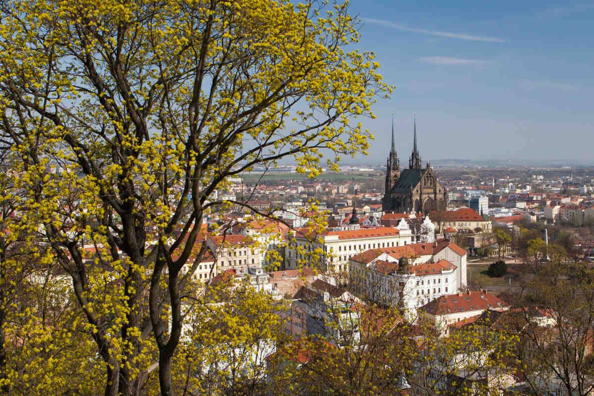 Brno Masaryk Üniversitesi